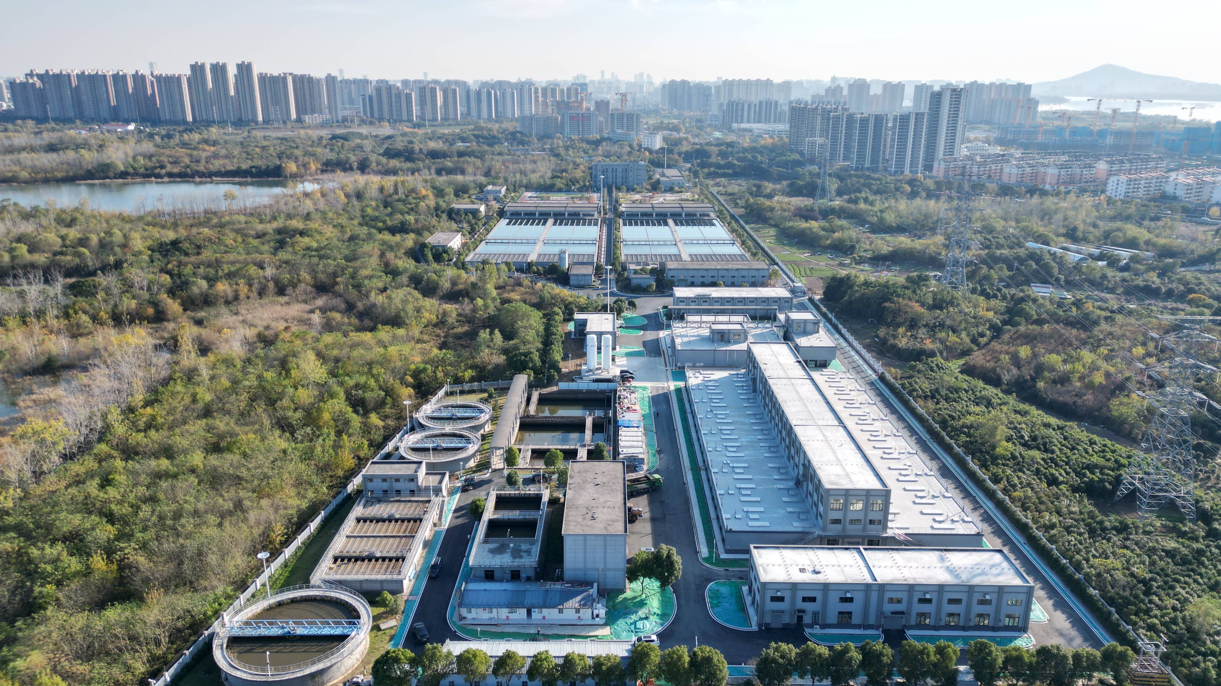 绥化市合肥专业企业价值增长(合肥市重点企业产业目录)
