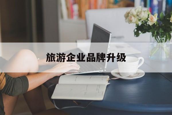 绥化市旅游企业品牌升级(旅游企业品牌升级措施)