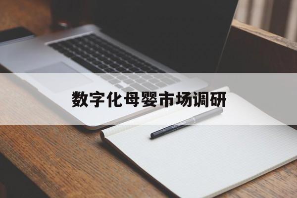 绥化市数字化母婴市场调研(数字化母婴市场调研报告)